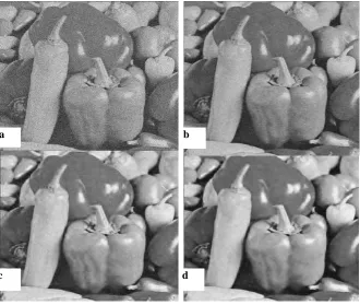 Fig 6: (a) MRI noisy image with σ = 25; (b) denoised image with TV regularization algorithm, PSNR=26.64; (c) denoised image with PCA in wavelet domain, PSNR=30.85; (d) denoised image with proposed algorithm, PSNR=31.39