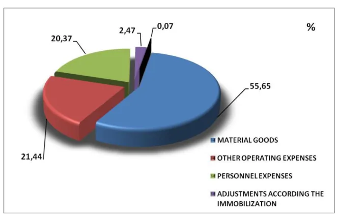 Figure 10. Structure of total expenditure 