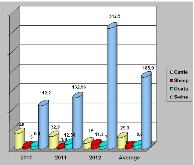 Figure 2. Total production of meat produced (tons) 