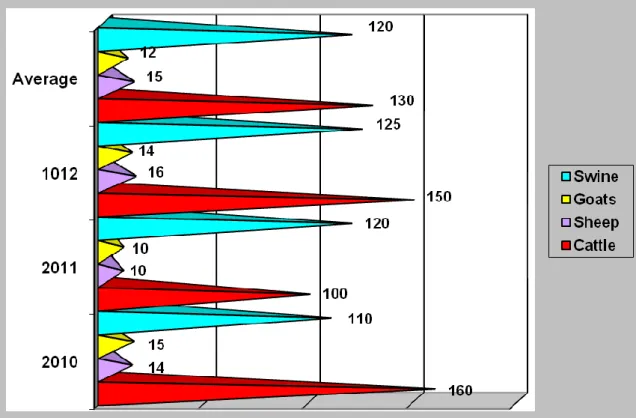 Figure 3. Average weight on slaughter (kg / head) 