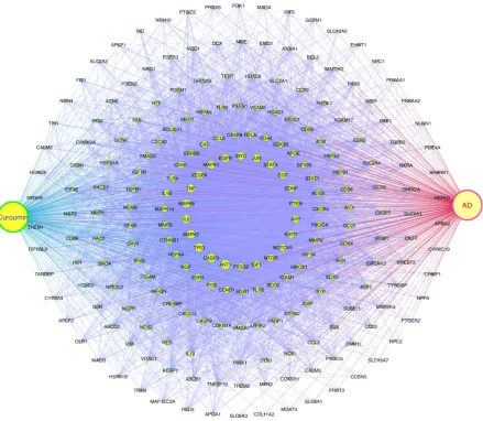Figure 2. Network analysis: Curcumin-target-target-Alzheimer’s disease (C-T-T-AD) network