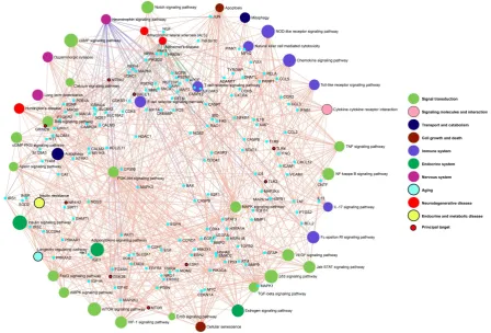 Figure 4. Integrated Disease-Target-Pathway network, a comprehensive network that visualizes 