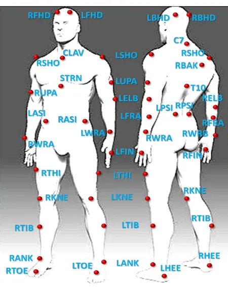 Figure 1. Location of the passive retro-reflective spherical body markers arranged on the dancer’s body in relation to the human skeletal system