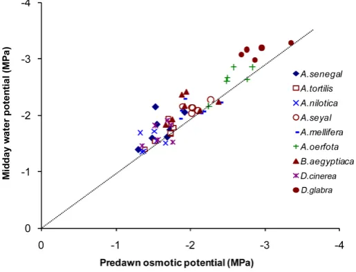 Figure 2. Midday and predawn values of plant osmotic potential mea- surements (MPa) of the most common species in Awash National Park, Ethiopia