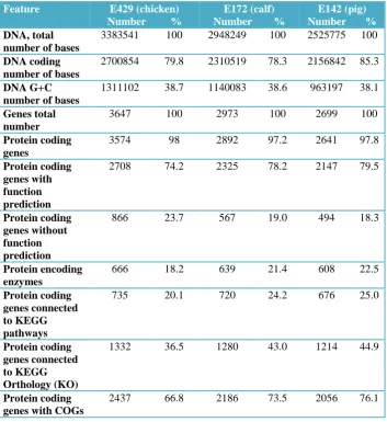 Table 3.2: Genome composition features of strains E429, E172 and E142. 