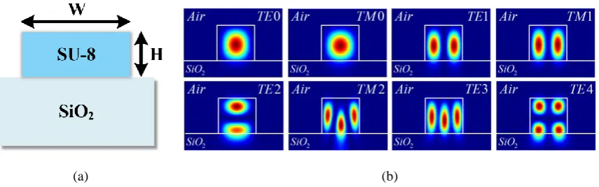 Figure 2. (a) Cross-section of the ridge waveguide; (b) E-field profiles of SU-8-based waveguide structure