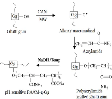 Figure 1: Proposed mechanistic pathway for the synthesis of pH-sensitive  PAAM-g-GG copolymer.