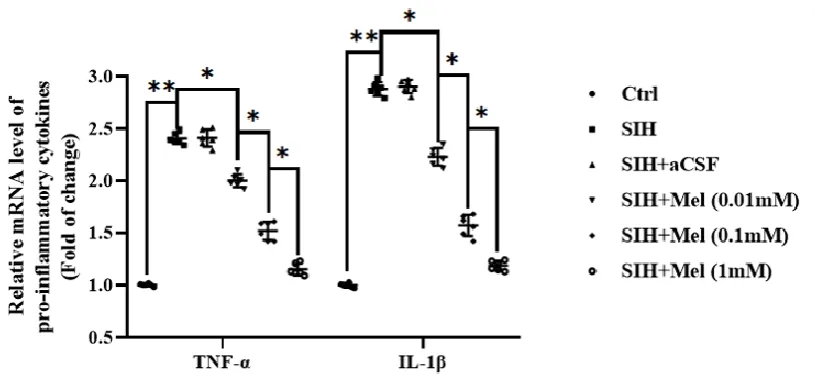 Figure 4. Effects of different concentrations of melatonin on the expression of inflammatory factors in RVLM tissues of SIH rats injected with RVLM