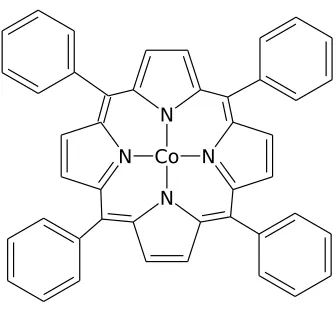 Figure 4.1: Diagram of CoTPP.