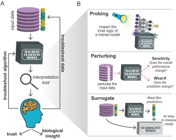 Figure 1A