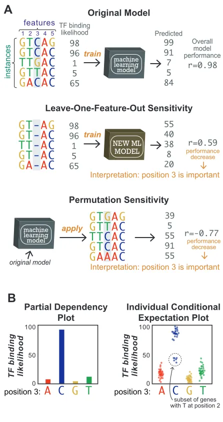 Figure 3A