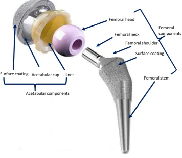 Figure 2-1 Schematic of an uncemented THRs note the surface coating [23]. 
