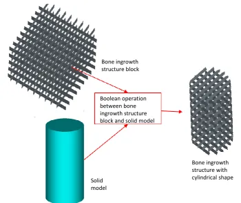 Figure 2-30 Based on the method provided by Stamp et al [8], a bone ingrowth structure is created by hatch lines and achieves a desirable shape by using a Boolean operation between itself and the solid model