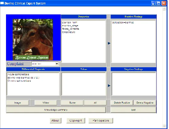 Fig 1: Bovine Clinical Knowledge Based System 