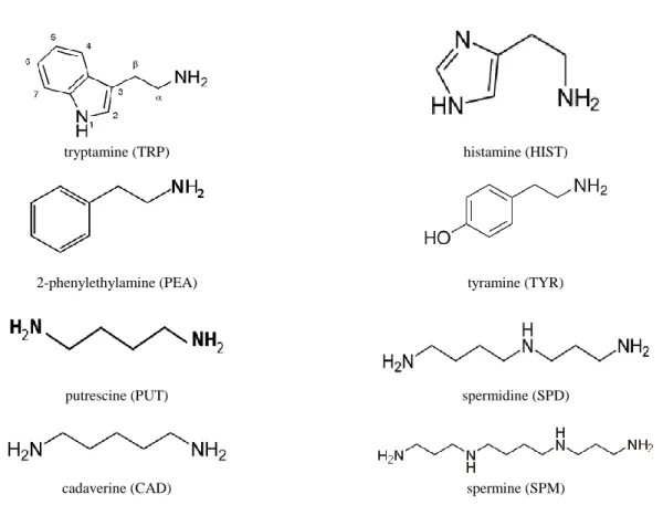 Fig. 1. Chemical structures of biogenic amines 