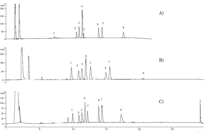 Fig. 2. HPLC chromatograms of standard solution of biogenic amines obtained at 220 nm with three columns:   A) Perkin Elmer Brownlee column 150 mm  4.6 mm, 5 µm; B) Supleco LiChrosorb 250 mm  4.6 mm, 5 µm;   C) Varian Microsorb 100-5 C18 250 mm  4.6 mm,