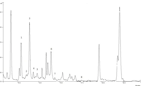 Fig. 3. HPLC chromatograms of biogenic amines in red wine obtained at 220 nm:   on Varian Microsorb 100-5 C18 250 mm  4.6 mm, 5 µm