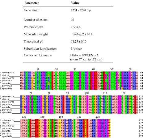 Table 3. General characteristics of CENH3 gene and CENH3 protein in studied seven Boechera species