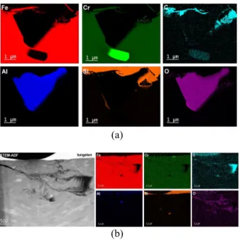 Figure 6. (a) STEM-ADF EDX Elemental Maps of Areas  with Pores and Defects Formed at the Upper  Part of the Lamella