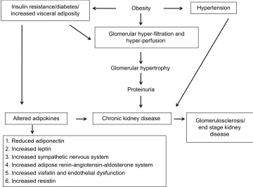 Figure 1 describes altered renal hemodynamics, which result in two pathogenic mechanisms of kidney injury in obesity: glomerular hyperperfusion and hyperfiltration.10,11 An elegant study conducted in dogs by Henegar et al10 described in detail some of the physiologic and hormonal changes which occur acutely in obesity leading to hyperperfusion 