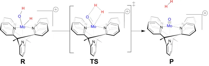 Figure 2. Reactant (R), transition state (TS) and product (P) in the key step that releases molecularhydrogen