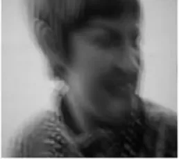 Figure 6. Fake Image 
