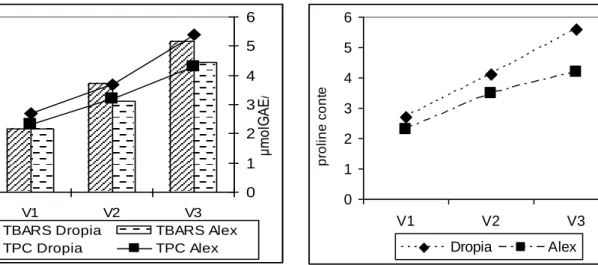 Figure 5. TBARS (nmol MDA /g) and total  phenolic compounds ((μmol GAE/g)   