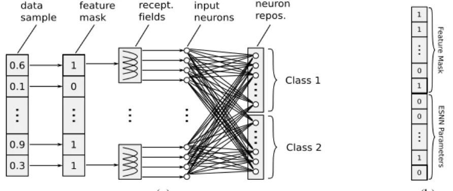 Fig. 2. a) ESNN architecture – A data sample is masked to extract a feature subset, then each variable is translated into trains of spikes