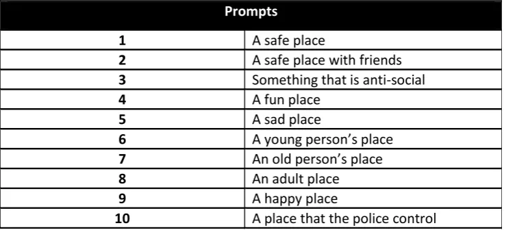 Table 2 List of prompts for the photographic method 