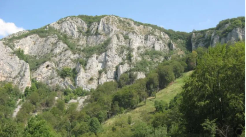 Fig. 1. Lăpuşnic Valley (M. Niculescu, 26.VII.2013)