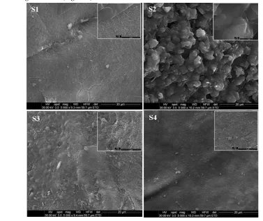 Figure 4. The SEM image for LDHs before and after Mn2+ adsorption 