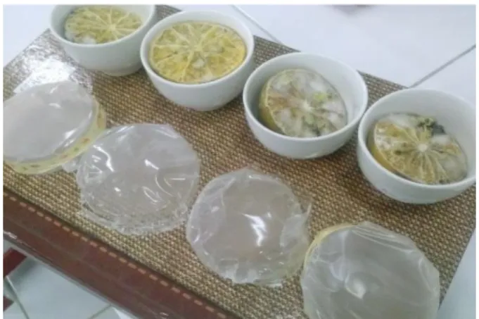 Figure 2.  Mold  Growth  and  Development  on  the  Cut  Lemon Surface During Storage 