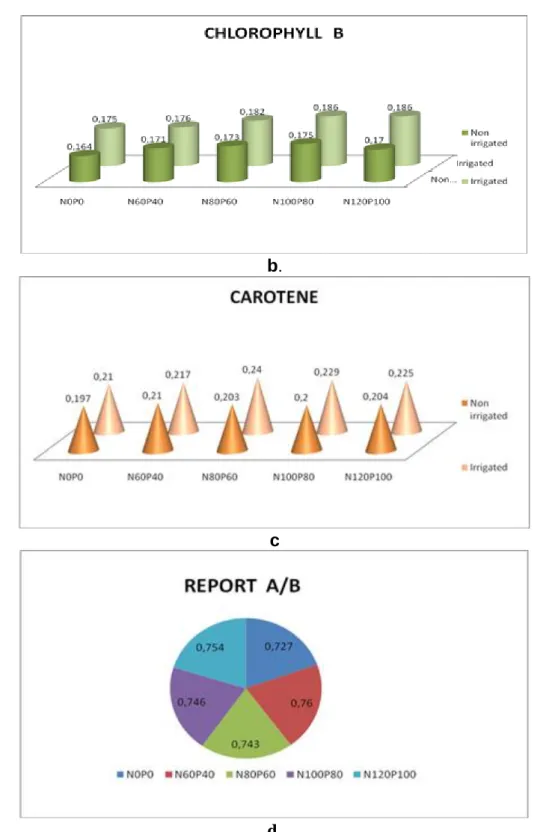 Graphic .1.  (a,b,c,d). The influence of the dose of nitrogen and phosphorus to the chlorophyll  pigments of Partizan maize hybrid - the 16 th  of June, 2011 - 