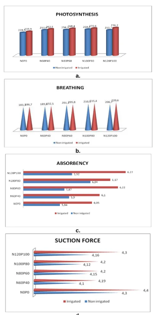 Graphic .2.  (a,b,c,d). Influence of the nitrogen and phosphorus doses on some physiological  processes on the Partizan corn hybrid – the 16 th  of June,  2011 