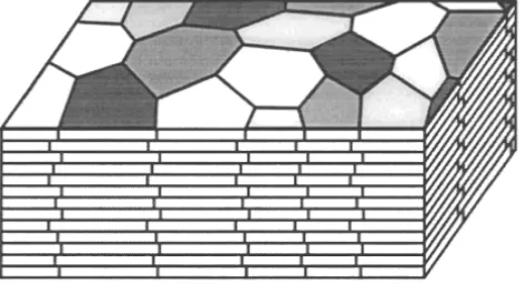 Figure 1. Illustration of the columnar structure of abalone shell. Columnar nacre is differentiated from sheet nacre by the tessel-lated arrangement of the intertablet boundaries that arises due to the alignment of the stacked tablet centers