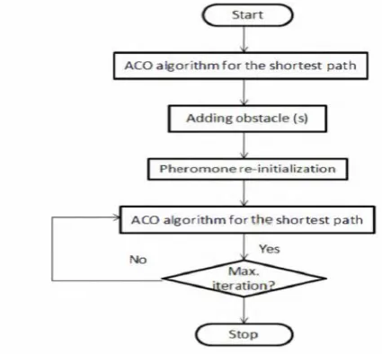 Figure 3.3.  The flow chart of ACO in a Dynamic Domain  