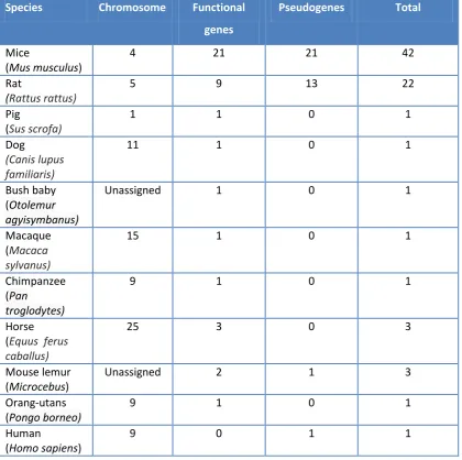 Table 1.2 A list of functional and pseudo MUP genes in 11 different species.  Table was adapted from Logan et al., 2008 