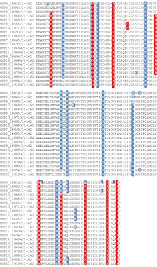 Fig 3.2 Proteolytic maps of MUP amino acid sequences. 
