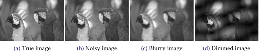 Figure 1: Sample images for denoising, deblurring, and undimming experiments.