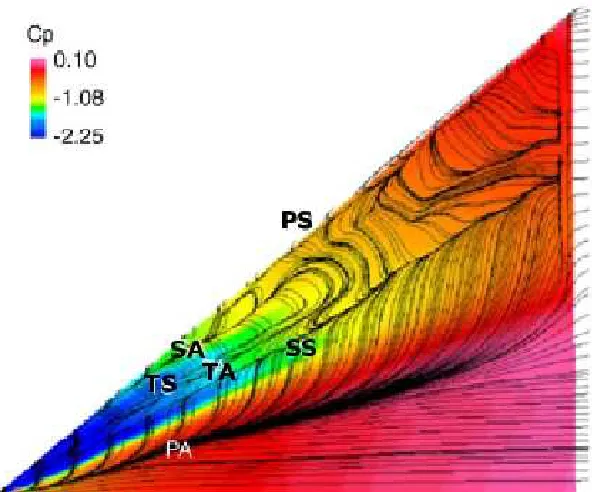 Figure 2.5: Experimentally obtained surface streamline patterns and pressure coeﬃ-  