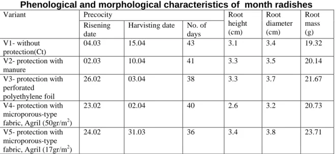 Table 2.  Phenological and morphological characteristics of  month radishes  