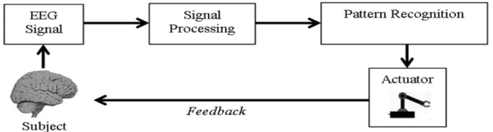 Figure 2. Basic BCI System 
