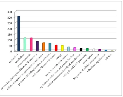 Figure 2.2: Functional classification of proteins identified in whole tachyzoite lysate analysed by 1-DE and LC MS/MS