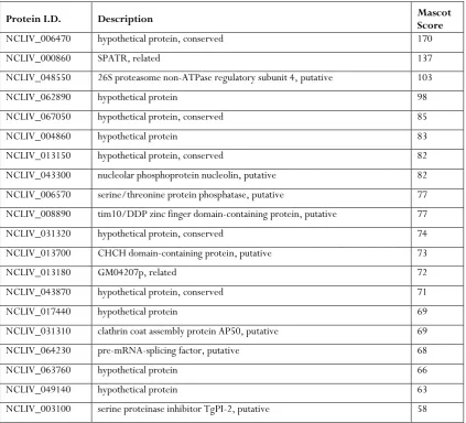 Table 2.2: Novel protein identifications from the Orbitrap Velos tachyzoite analysis (n = 28)