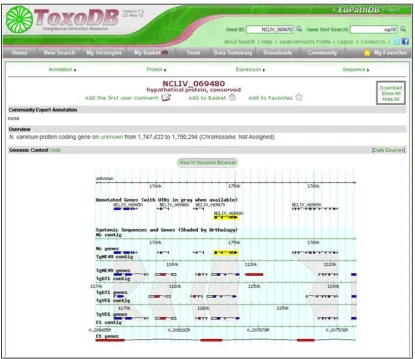 Figure 3.1: Example gene page from ToxoDB for N. caninum gene NCLIV_069480 (highlighted in yellow)