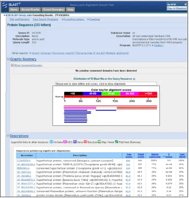 Figure 3.2: Example of a protein-protein BLAST alignment of NCLIV_069480 against the ‘all non redundant 