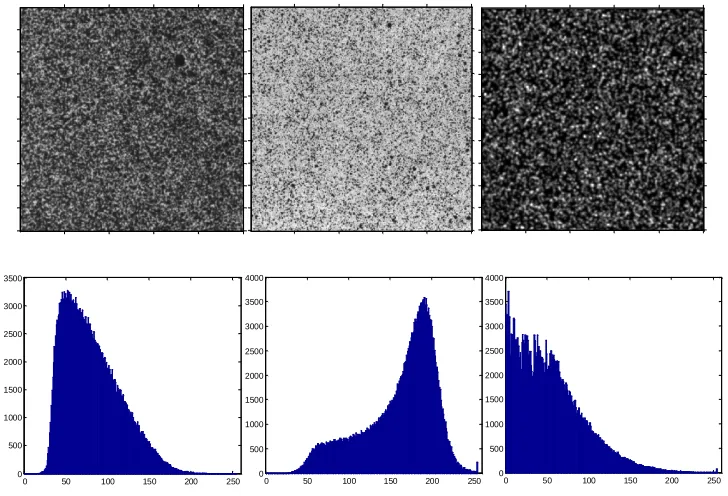 Figure 3–2. Grey level histograms (x-axis: grey scale, y-axis: number of pixels) of 