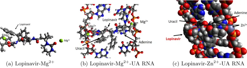 Figure 7:For binding Lopinavir to the RNA nucleotide pairing, (a) the conﬁguration of lopinavirin relation to two Mg2+ ions (shown in green) indicating electrostatic attraction at the endgroups; (b) The binding of lopinavir to the UA nucleotides including the binding with non-intramolecular-bound oxygen group of Uracil with an intermolecular bond to lopinavir; (c)The use of Zn2+ as the binding element instead of Mg2+, which show similar results.