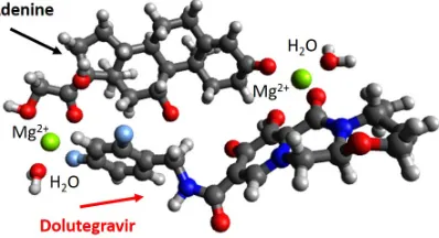 Figure 8: The delivery of dolutegravir and of cortisol to the RNA nucleotides are possibly achievedthrough a conﬁguration centered about the two ions at each end, here shown for Mg2+,in which either molecule can attach to the adenine-uracil pairing, thereby increasing therate of interaction.