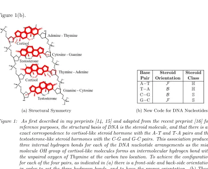 Figure 1:As ﬁrst described in my preprints [14, 15] and adapted from the recent preprint [16] forreference purposes, the structural basis of DNA is the steroid molecule, and that there is anexact correspondence to cortisol-like steroid hormone with the A-T